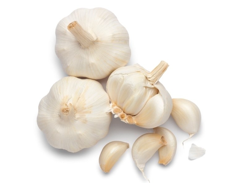garlics