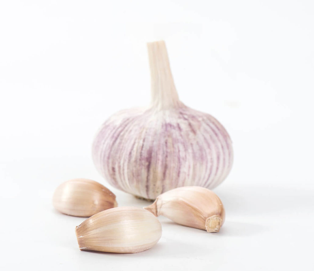 PURPLE GARLICS