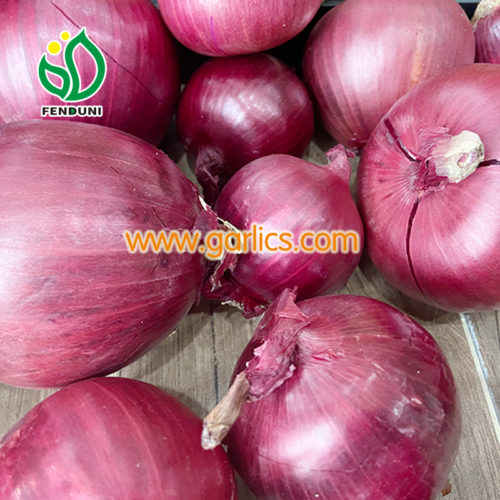 onion
