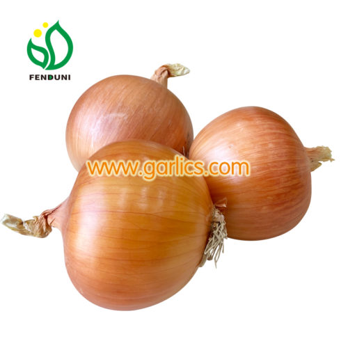 ONION