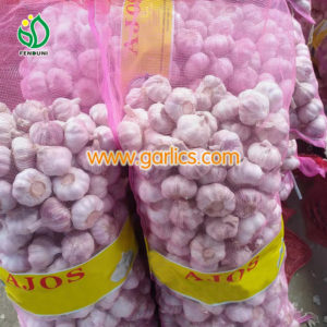 garlic