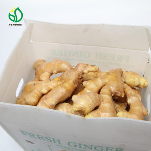 Fresh Ginger