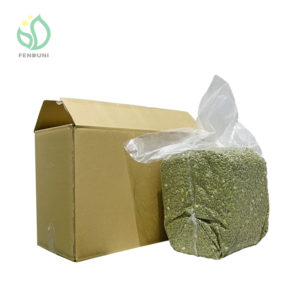 pumpkin seed