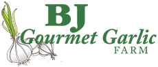 garlic importers