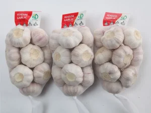 china-garlic-supplier