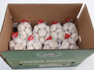 china-garlic-suppliers