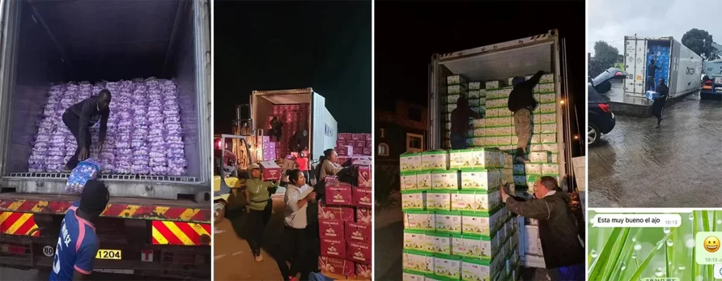 garlic-shipping