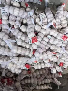 garlic-bulbs-for-planting