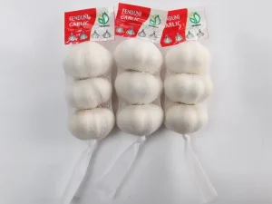 garlic-exporter