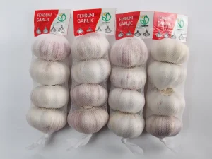 garlic-exporters