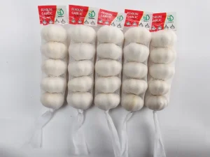 garlic-supplier