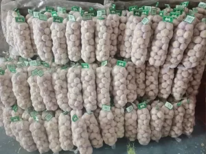 garlic_packaing