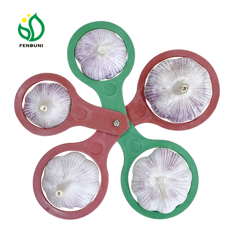 garlic_type
