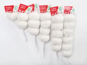 China garlic export