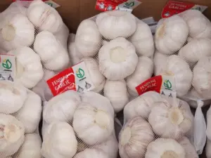china garlilc