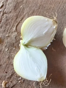 cómo_cultivar_plantas_de_cebolla