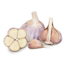 music_garlic