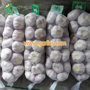 New_Crop_a_Garlic