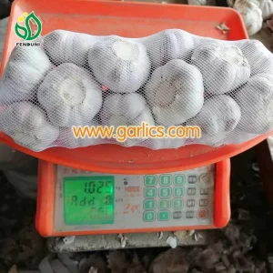 New_Crop_b_Garlic