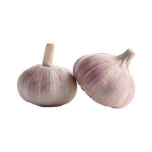 purple-garlic-supplier
