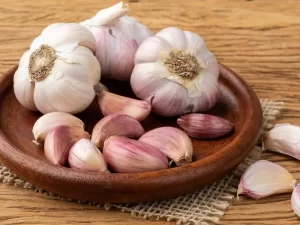 Purple_Garlic