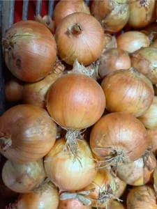 beneficios de la cebolla roja